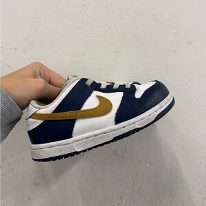 Nike Dunks Toddlers